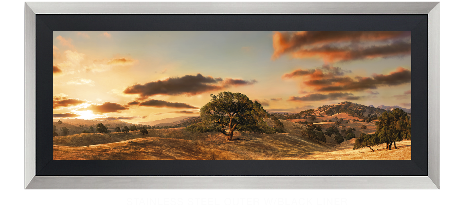 2OAKS Stainless Steel Outer w_Blk Liner T