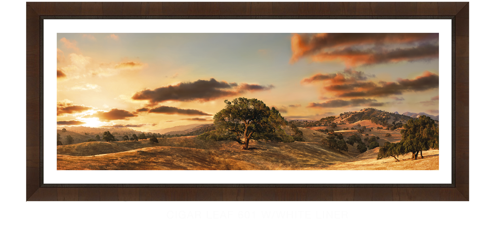 30SOAKS Cigar Leaf 601 w_Wht Liner T