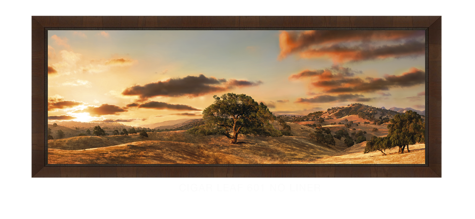 31OAKS Cigar Leaf 601 w_No Liner T