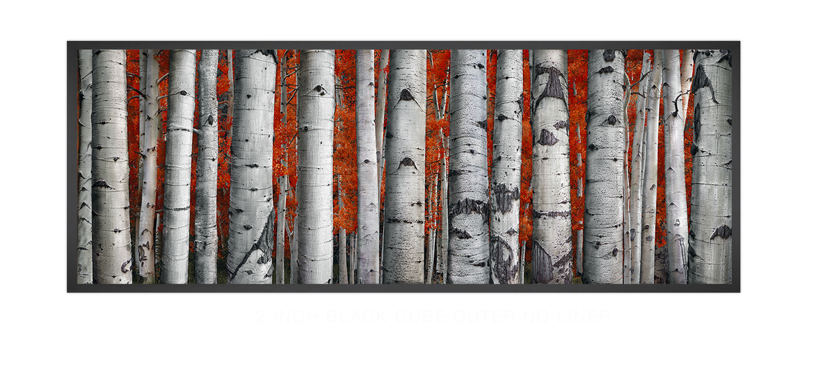 10ASPEN 2 Inch Black Cube Outer w_No Liner T