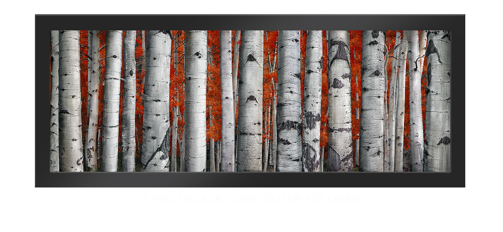 13ASPEN 3 Inch Black Cube Outer w_No Liner T