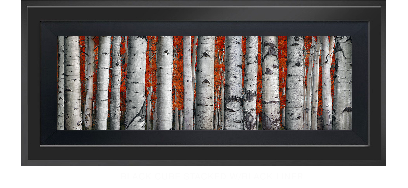 14ASPEN Black Cube Stacked w_Blk Liner T