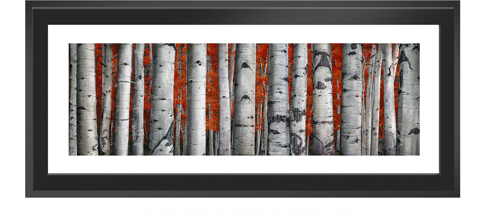 15ASPEN Black Cube Stacked w_Wht Liner T