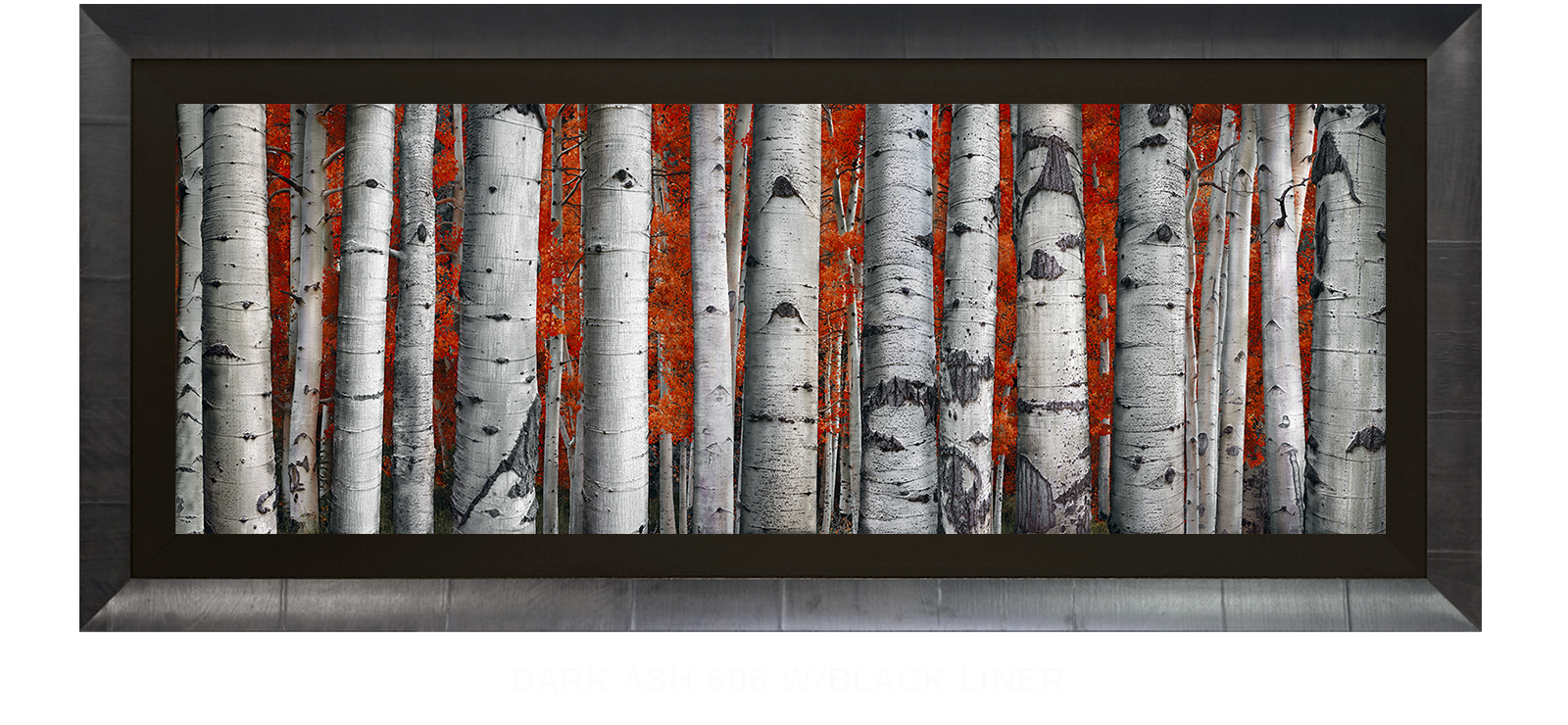 17ASPEN Dark Ash 606 w_Blk Liner T