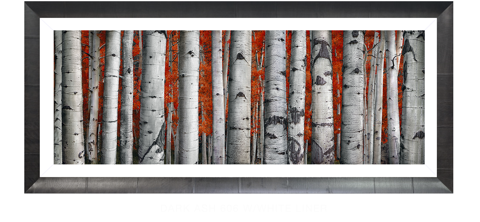 18ASPEN Dark Ash 606 w_Wht Liner T