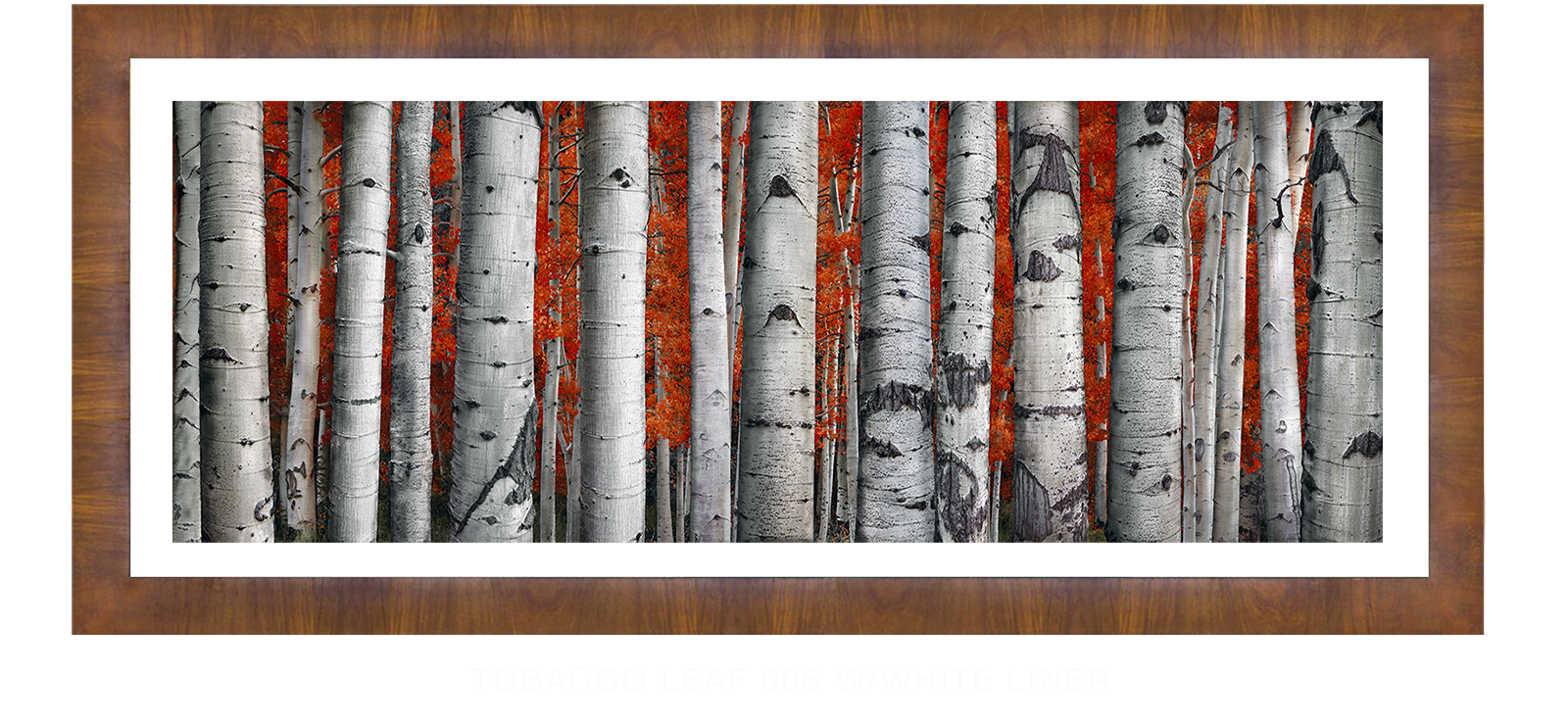 24ASPEN Tobacco Leaf 606 w_Wht Liner T