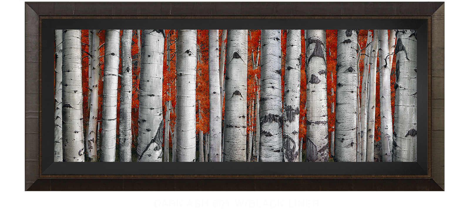 26ASPEN Dark Ash 601 w_Blk Liner T