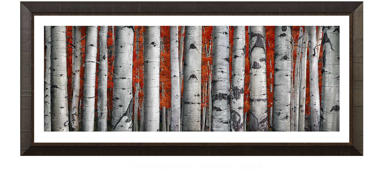 27ASPEN Dark Ash 601 w_Wht Liner T