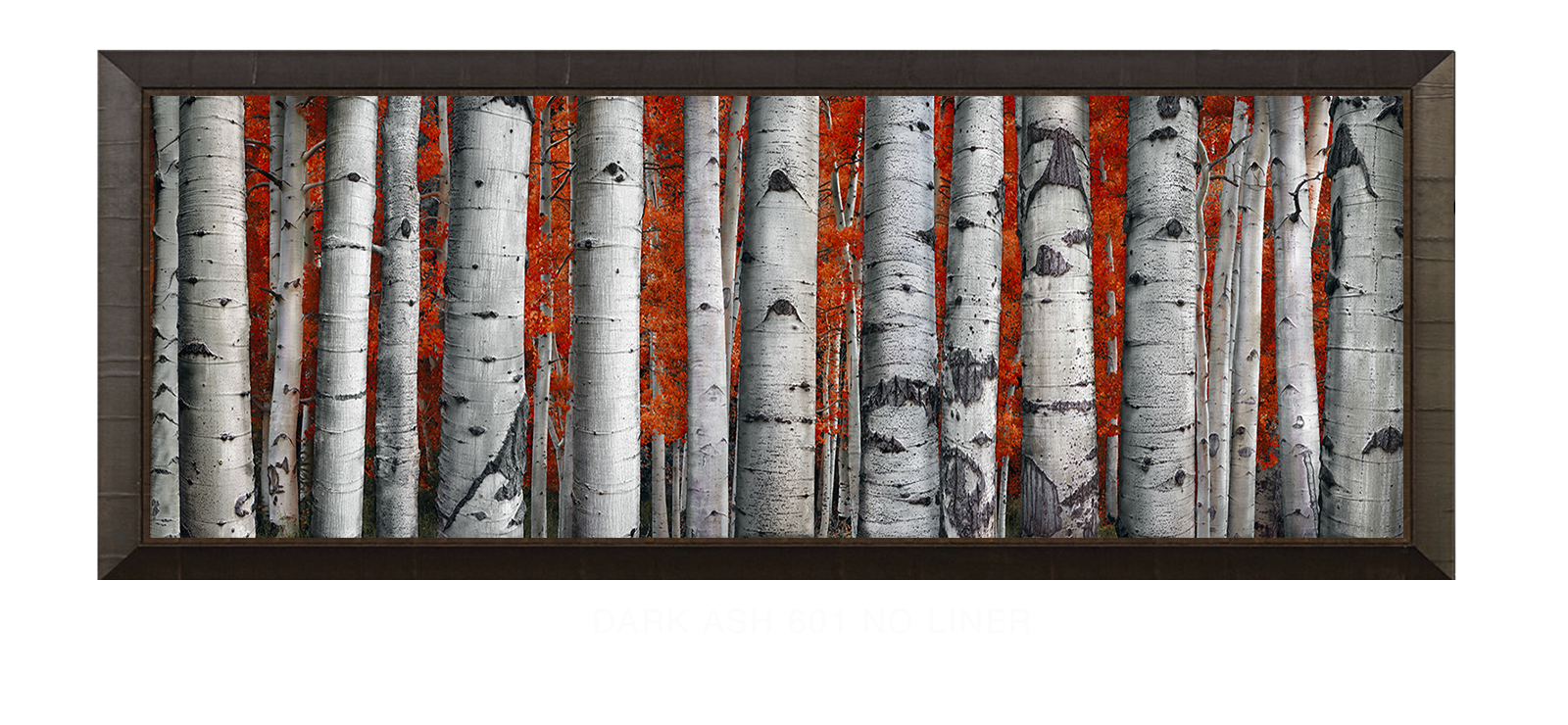 28ASPEN Dark Ash 601 w_No Liner T