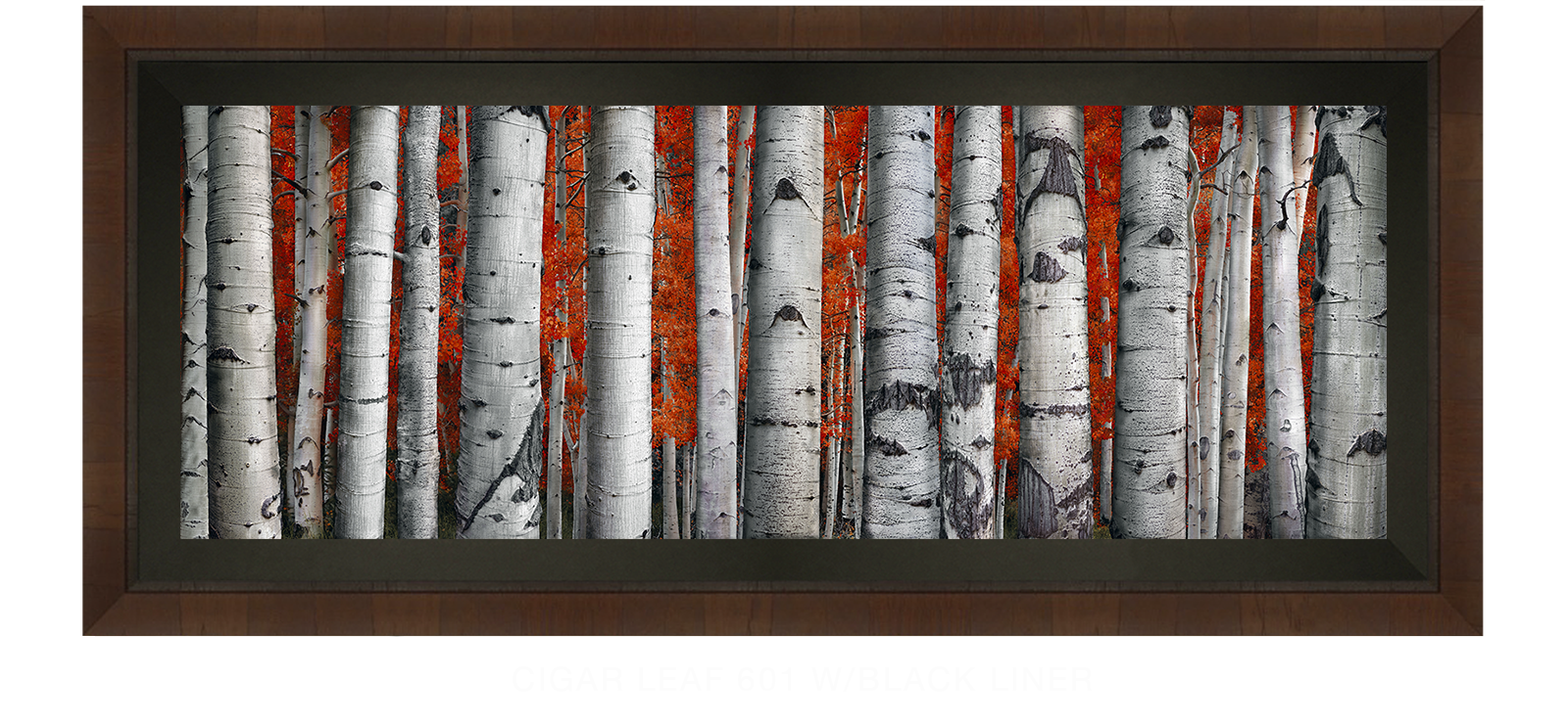 29ASPEN Cigar Leaf 601 w_Blk Liner T