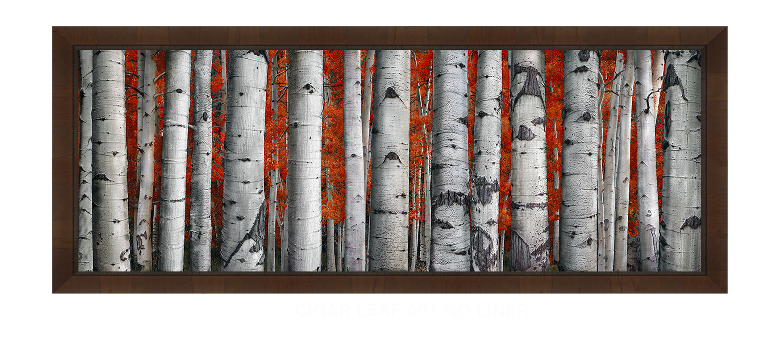 31ASPEN Cigar Leaf 601 w_No Liner T