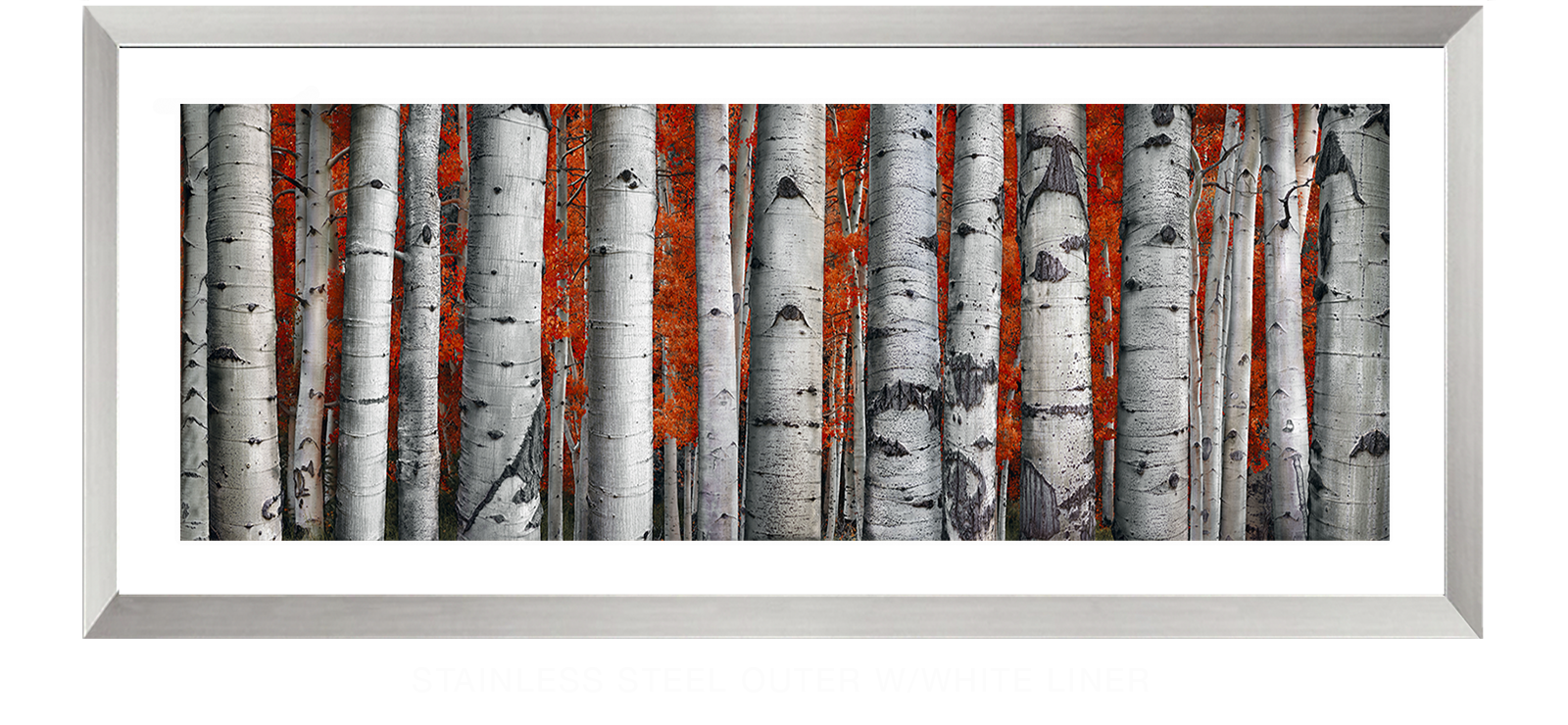 3ASPEN Stainless Steel Outer w_Wht Liner T