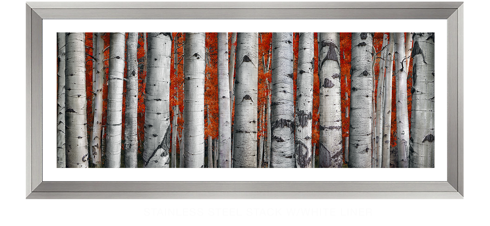 6ASPEN Stainless Steel Stack w_Wht Liner T