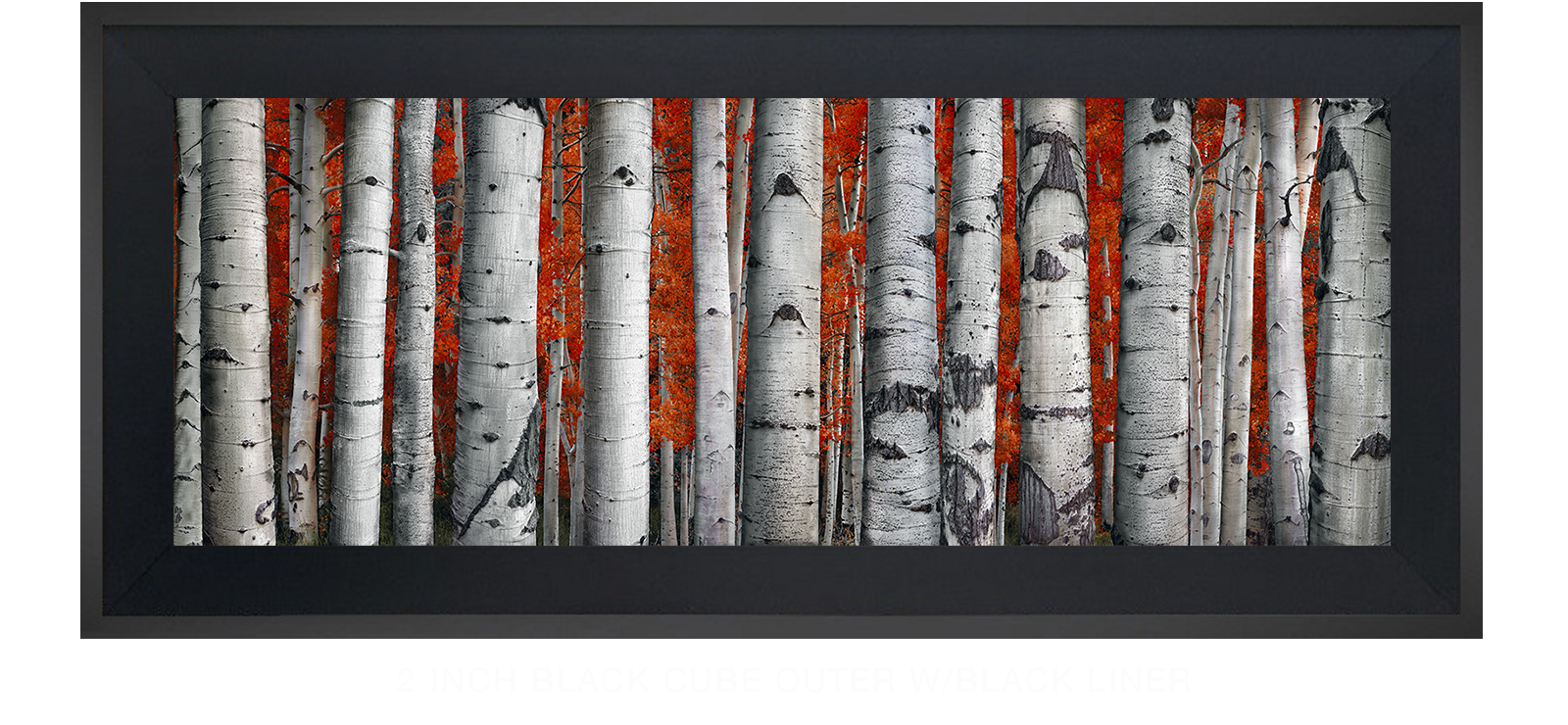 8ASPEN 2 Inch Black Cube Outer w_Blk Liner T