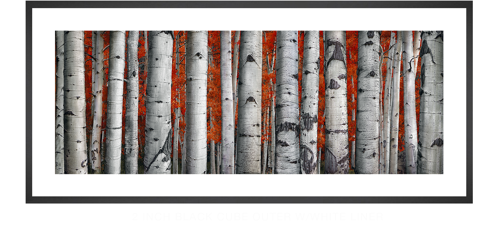 9ASPEN 2 Inch Black Cube Outer w_Wht Liner T